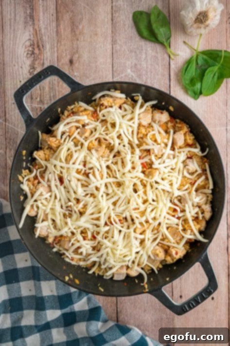 Cheese being added to a chicken and rice skillet.