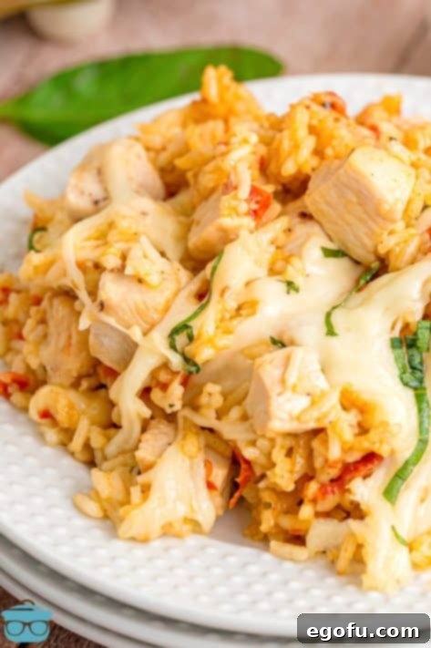 A full plate of Marry Me Chicken and Rice.