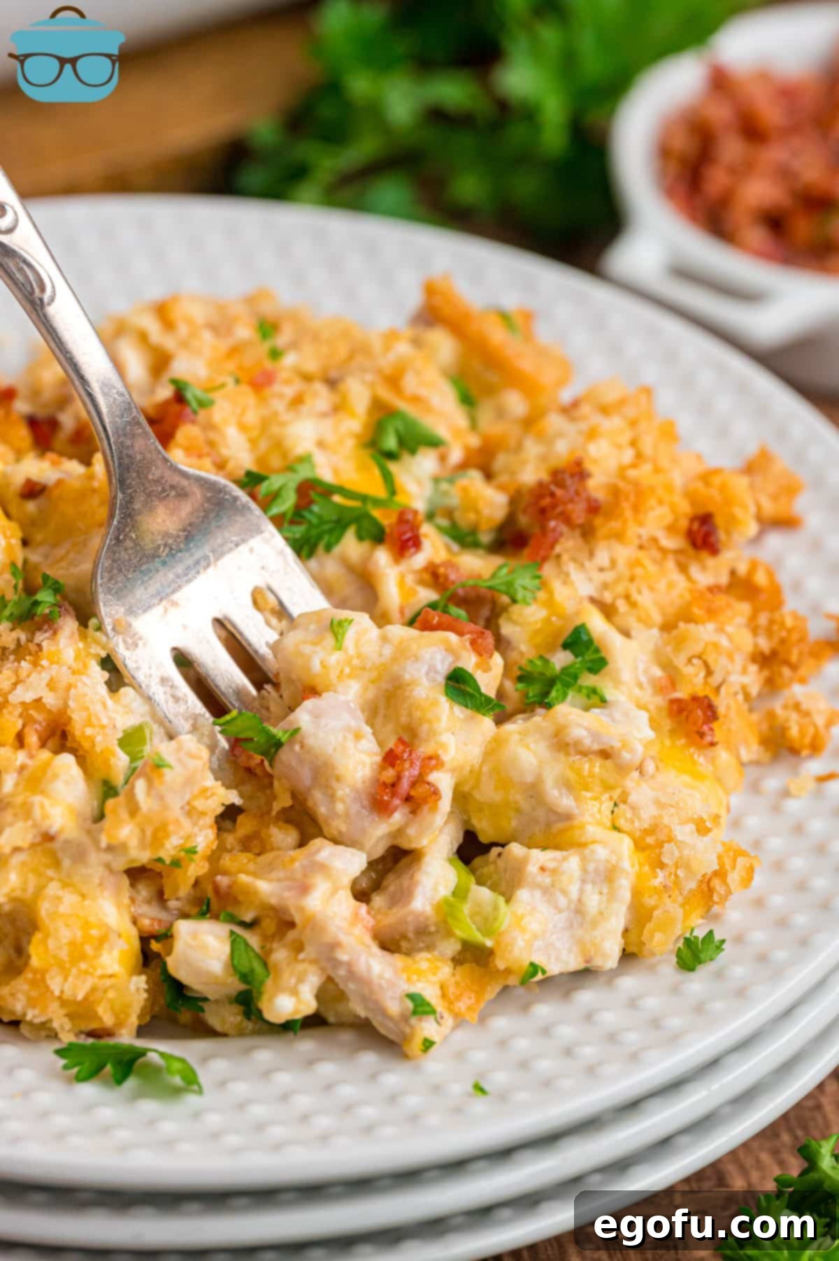 A plate of Neiman Marcus Chicken Casserole with a fork grabbing a bite.