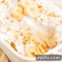 Overhead view of a baking dish filled with No-Bake Banana Pudding, garnished and ready to serve.