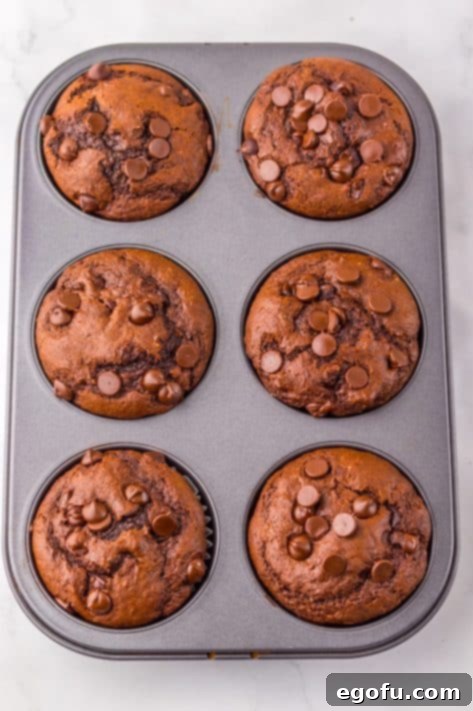 Freshly baked Costco Double Chocolate Chip Muffins in a pan.
