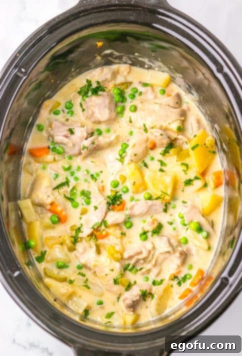 The finished Crockpot Chicken Stew, garnished with fresh parsley.