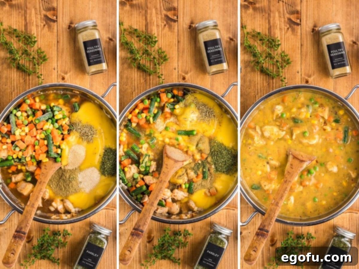 Onions, chicken, spices, cream of chicken soup, and broth being added to a pot and cooked.