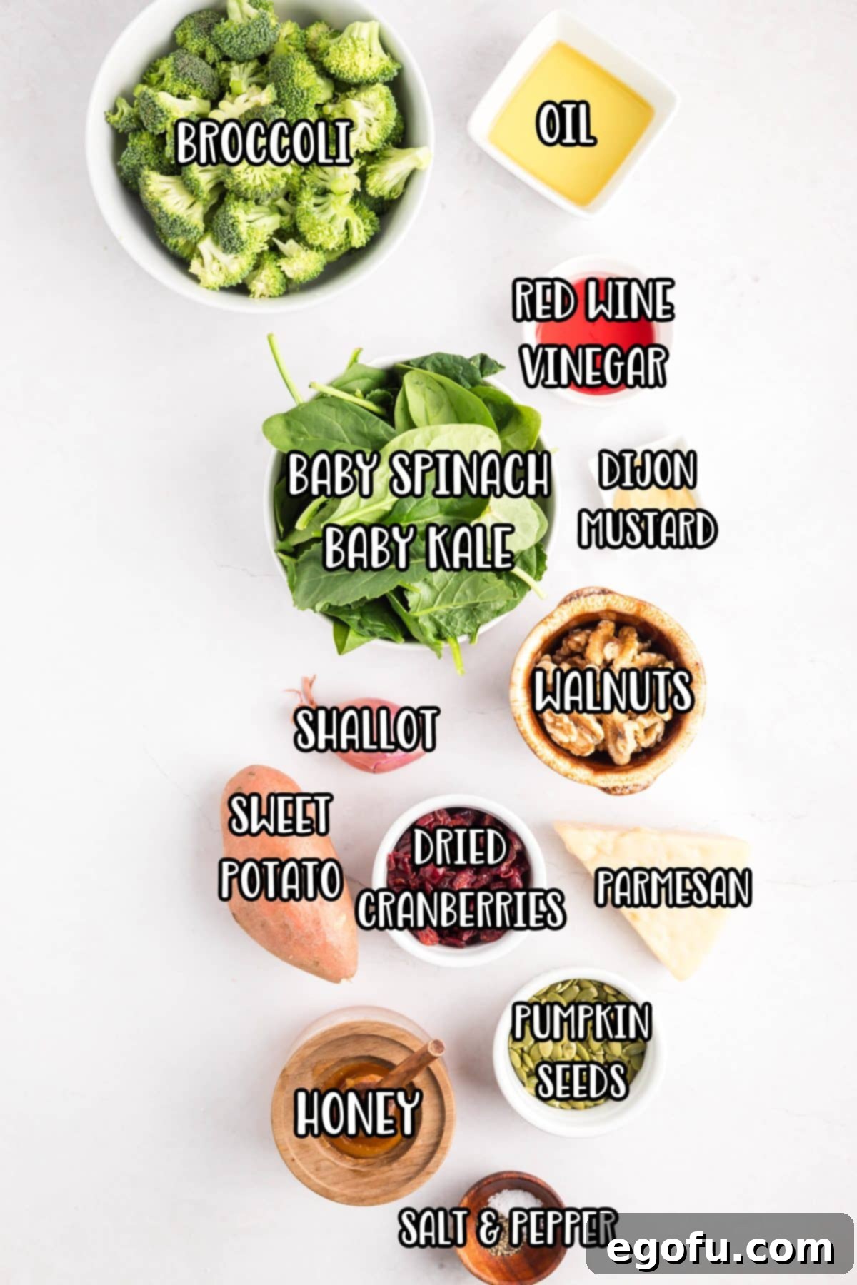 A beautiful flat lay of all the fresh ingredients needed for the Autumn Salad: avocado oil, red wine vinegar, honey, Dijon mustard, salt, pepper, kale and spinach mix, vibrant green broccoli florets, cooked sweet potato cubes, ruby red dried cranberries, pumpkin seeds, walnuts, finely sliced shallots, and delicate shaved parmesan cheese.