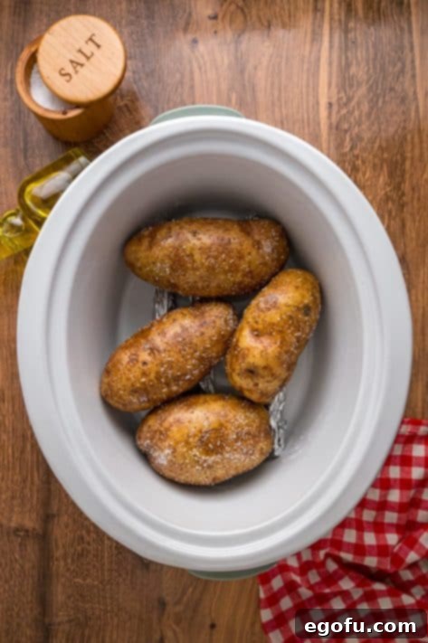 Crock Pot full of unbaked, oil and salt coated potatoes, arranged for even cooking.