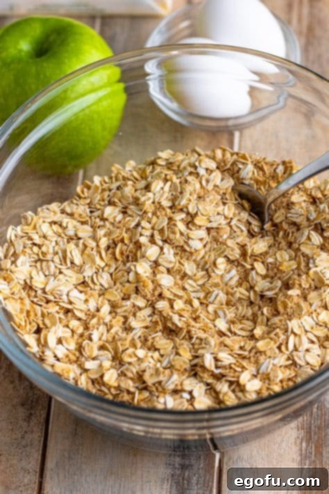 A bowl with oats, brown sugar, baking soda, apple spice, and salt.