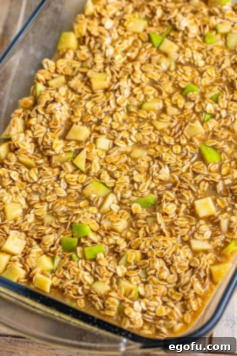 Unbaked Apple Oatmeal in a pan.