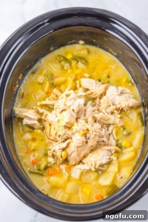 Shredded chicken in a slow cooker.