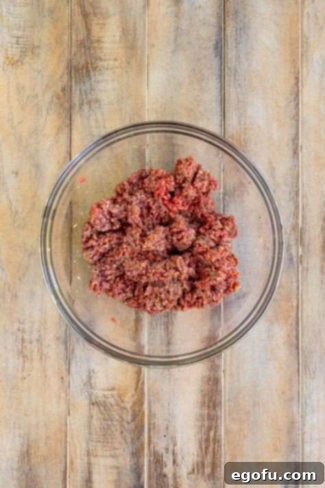 A meat mixture in a bowl.