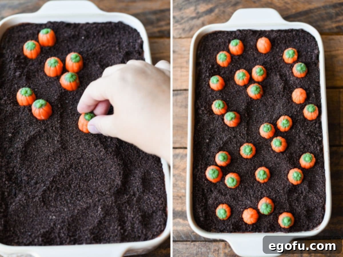 Pumpkin mellowcremes being arranged over a top layer of Oreo crumbs.