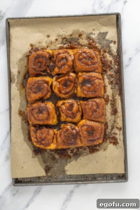 Irresistible King's Hawaiian Cinnamon Buns 13 Cinnamon sugar melted butter mixture seeping into Hawaiian rolls.