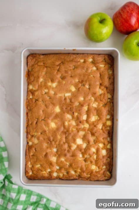 Baked Apple Dapple Cake in a baking pan.