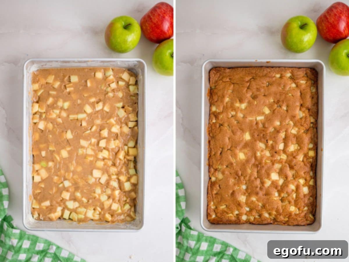 Cake batter spread evenly in a baking dish, and a fully baked Apple Dapple Cake with a golden-brown crust.