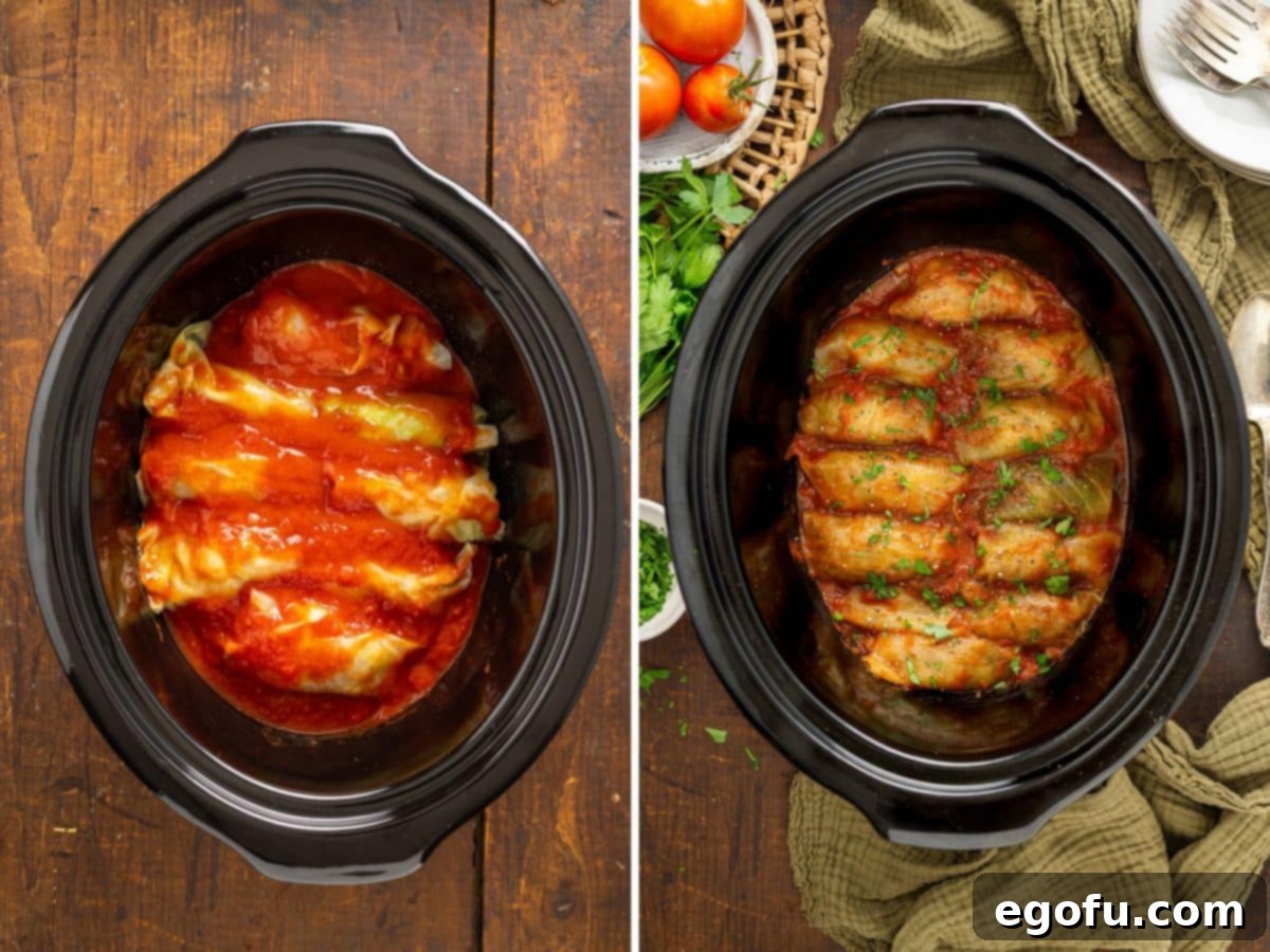 Effortless Crock Pot Cabbage Rolls 8 Cabbage rolls perfectly arranged in a slow cooker, covered in rich tomato sauce, with a garnish of fresh parsley.