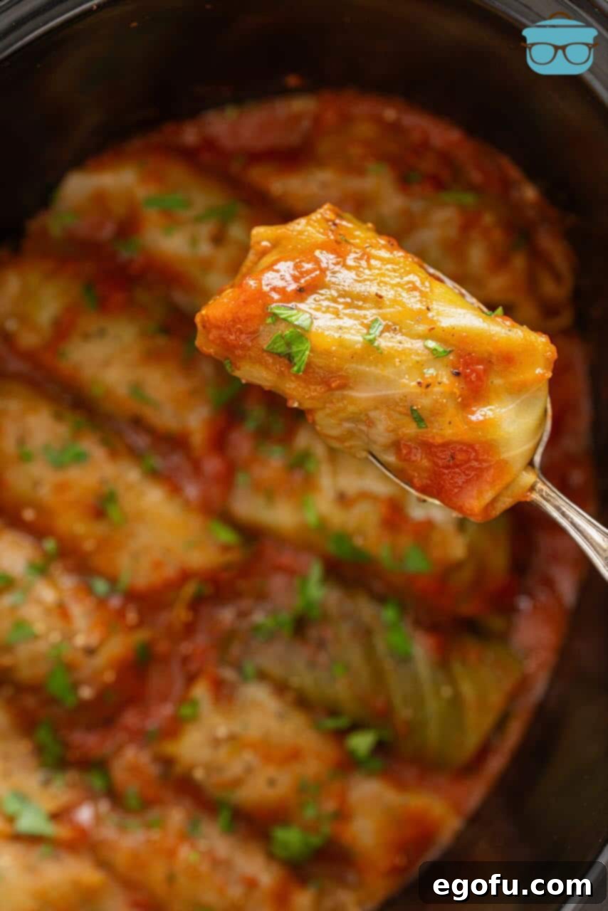 Effortless Crock Pot Cabbage Rolls 9 A serving utensil lifts a perfectly cooked cabbage roll from the slow cooker, showcasing its tender texture.