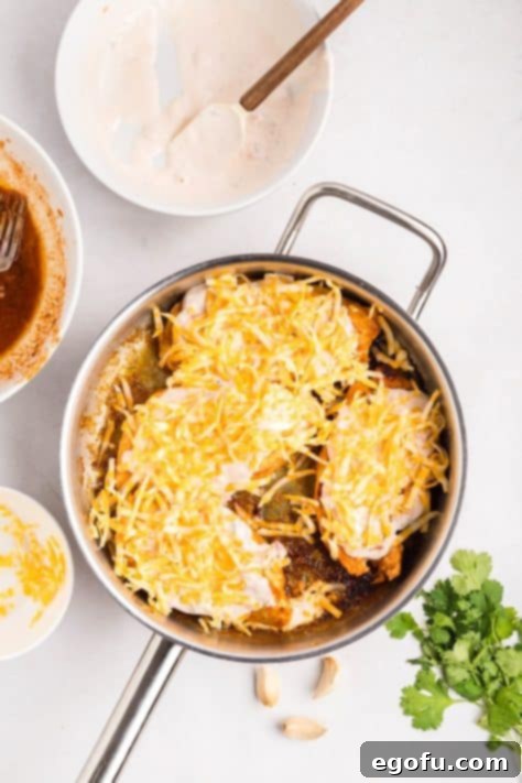 Zesty Fiesta Lime Chicken 11 Shredded cheese on top of chicken with a sauce on top.