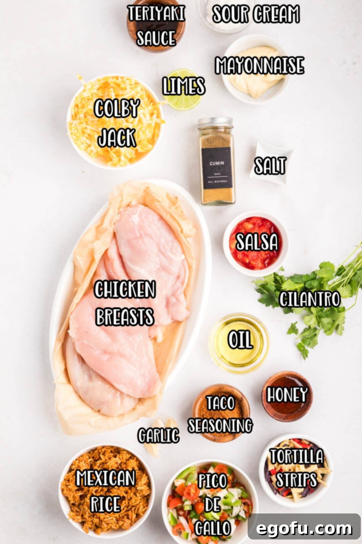 Zesty Fiesta Lime Chicken 4 Chicken breasts, mayo, salsa, sour cream, chopped cilantro, lime juice, cumin, salt, oil, garlic, teriyaki sauce, honey, taco seasoning, Colby Jack, Mexican rice, tortilla strips, and pico de gallo.