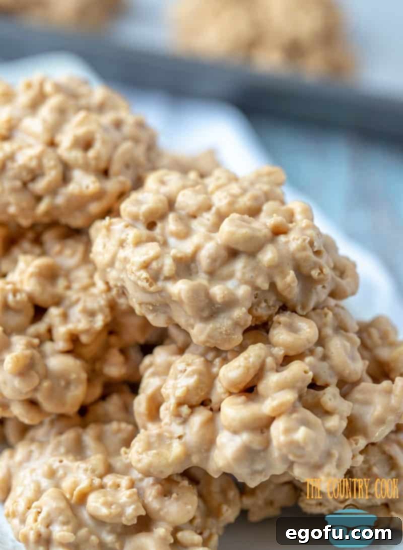 No Bake Avalanche Cookies with peanut butter and cookie butter stacked on a white tray, showcasing their rich texture and golden-brown color.