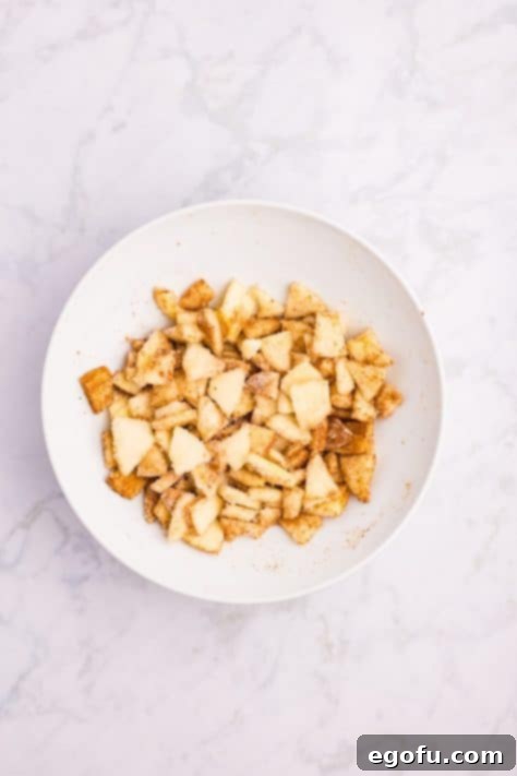 An apple, cinnamon, and flour mixture.