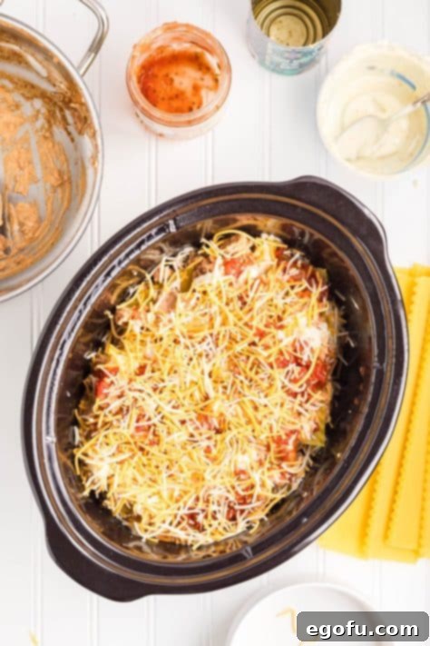 Slow Cooker Fiesta Lasagna 14 Shredded cheese on layers of Mexican Lasagna.