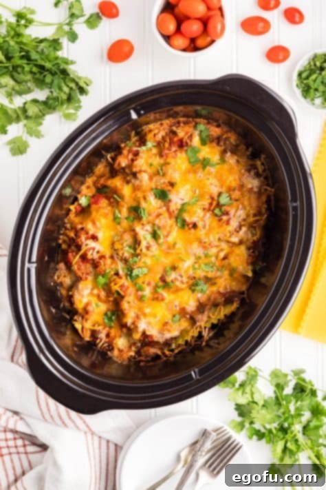 Slow Cooker Fiesta Lasagna 15 A Crockpot full of Mexican Lasagna.
