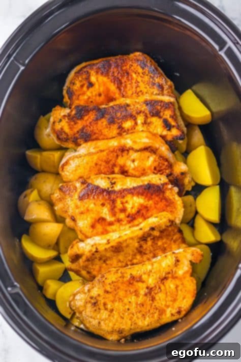 Potatoes and pork chops in a Crock Pot.