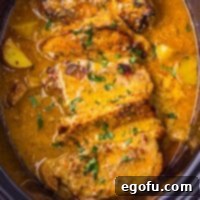 Looking down on Garlic Parmesan Pork Chops in a Slow Cooker.