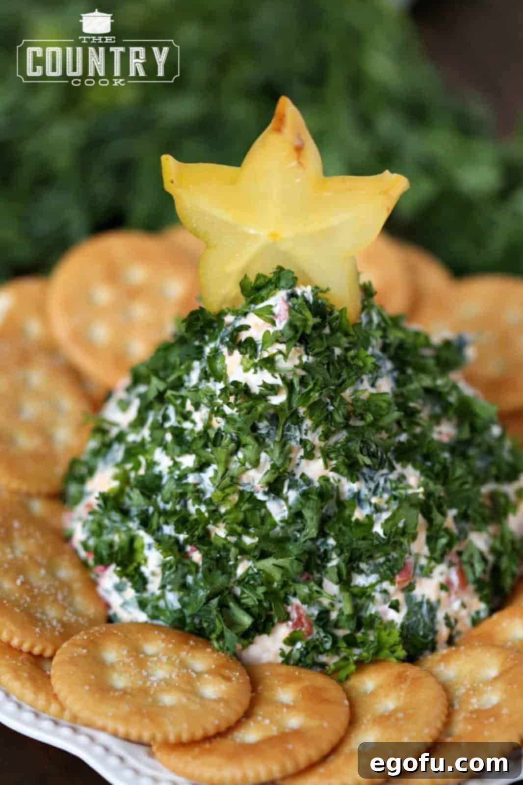 cheeseball shaped into a Christmas Tree covered in parsley and top with a star shaped fruit. 