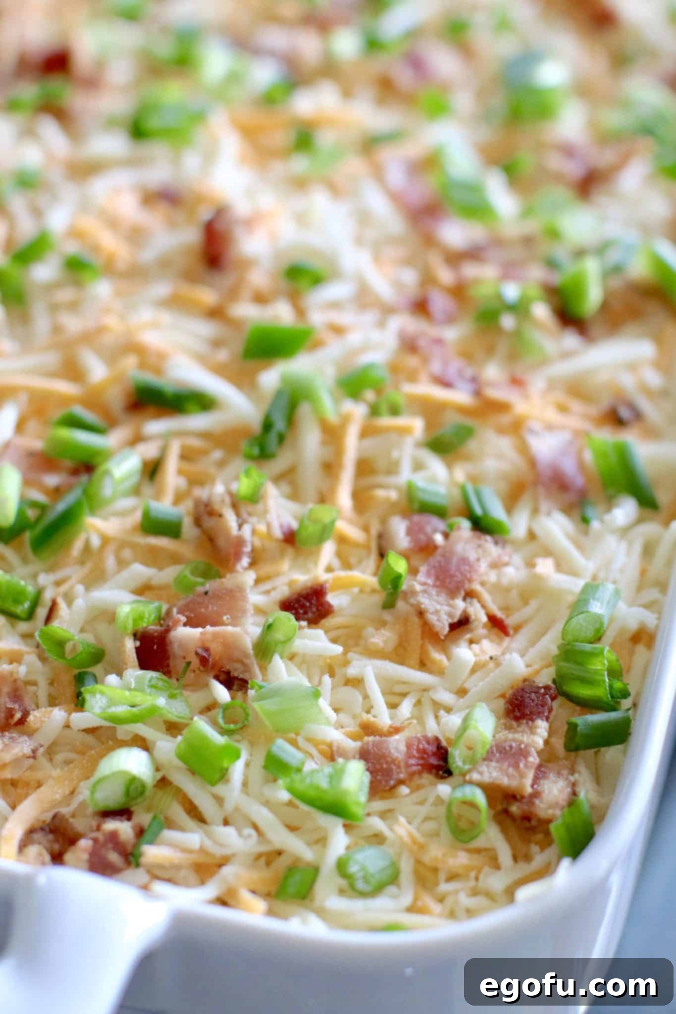 topping of shredded Mexican cheese, sliced green onions and chopped bacon.
