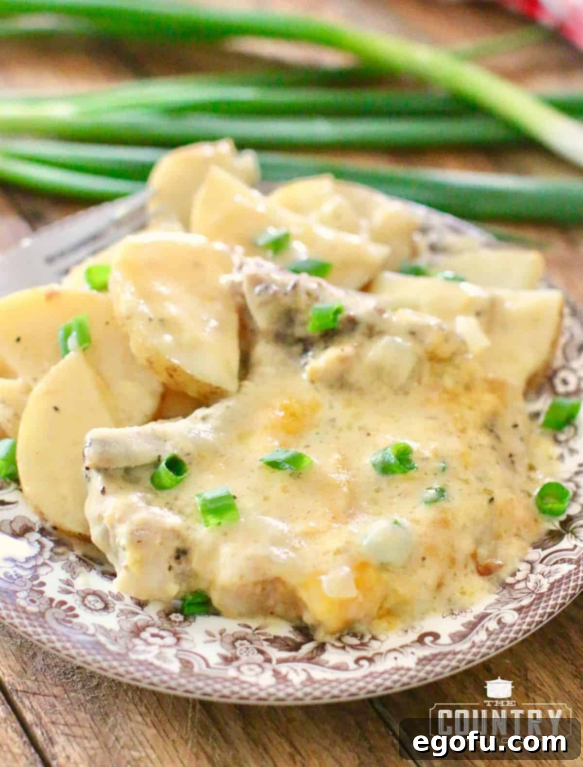 Serving of Crock Pot Smothered Pork Chops and Potatoes with extra creamy sauce