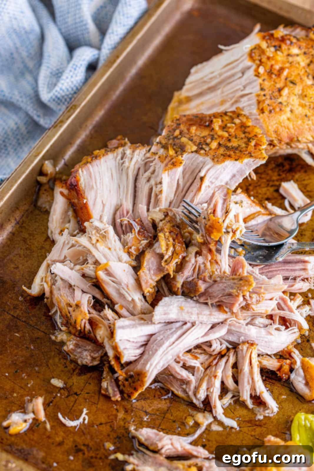 Fall-Apart Mississippi Pork Perfection 11 Pork loin being shredded into pieces on a baking sheet with two forks, demonstrating its tenderness.