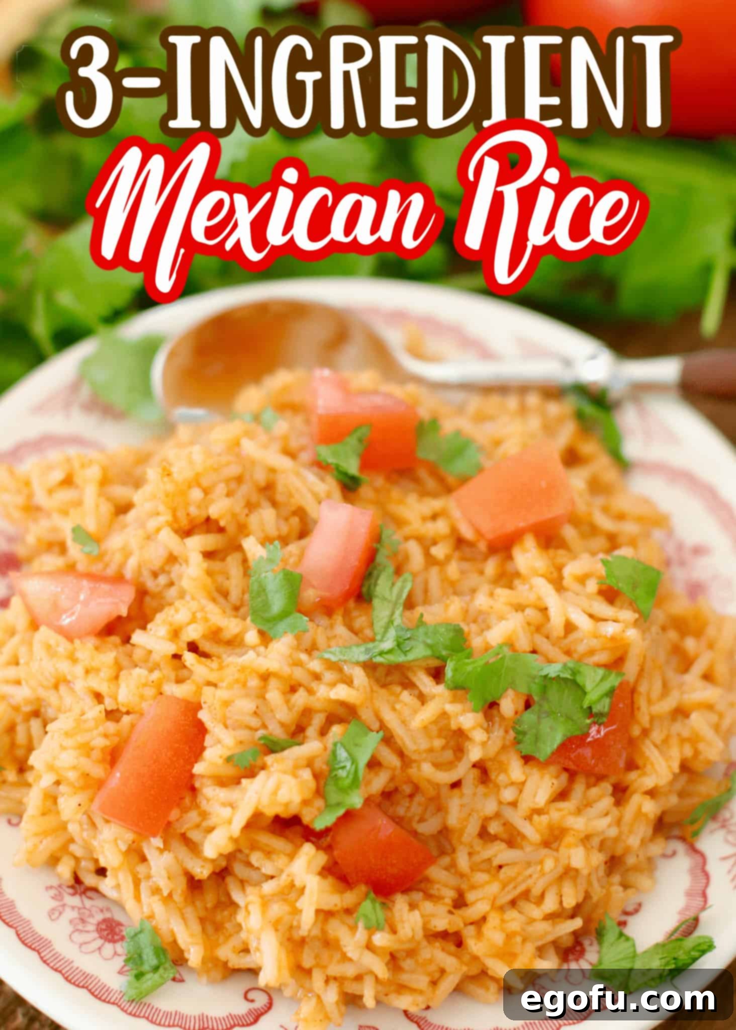 Mexican Restaurant Rice recipe from The Country Cook, rice shown on a round plate with a spoon in the background.