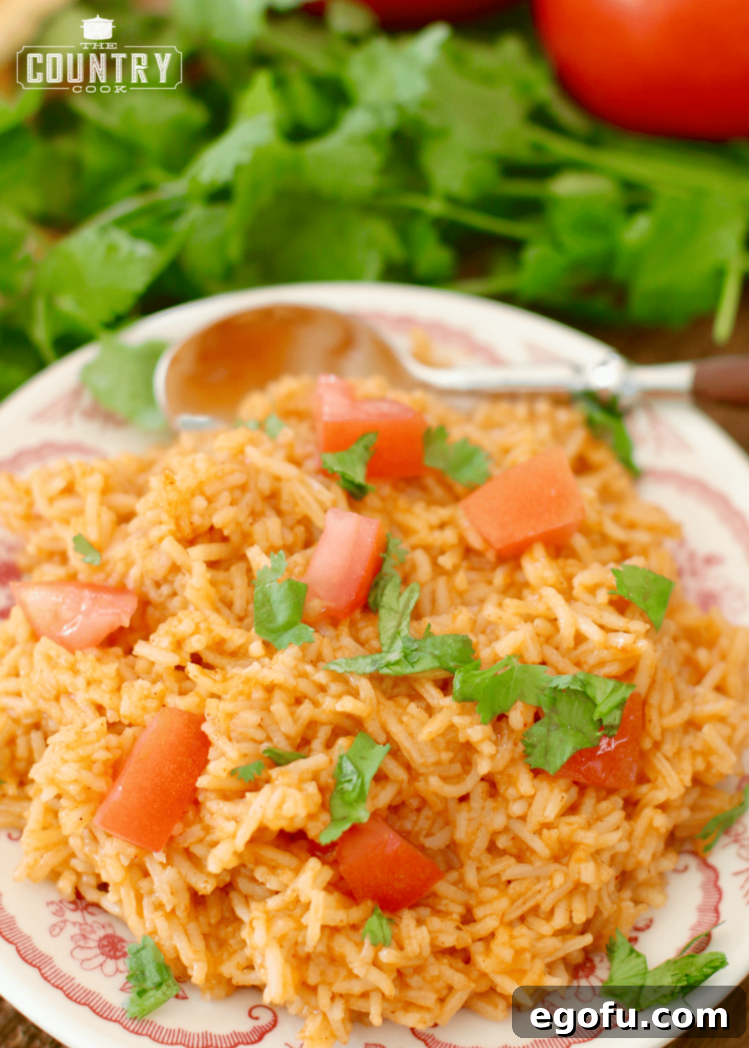 Mexican Rice shown served on a plate with a spoon.