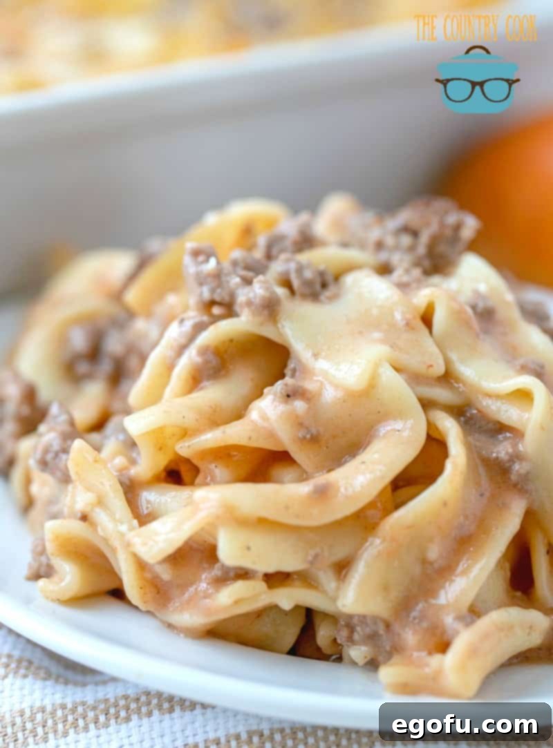 Creamy Egg Noodle Amish Casserole on a white plate.