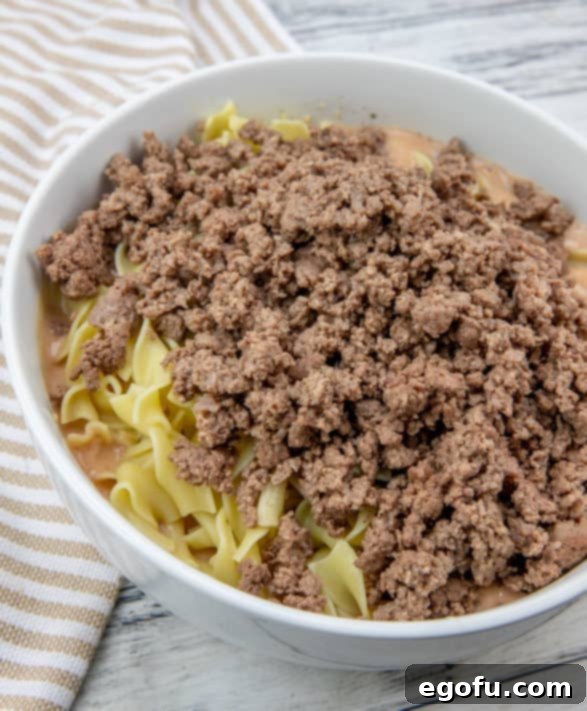 cooked ground beef stirred in with cooked egg noodles in a bowl.