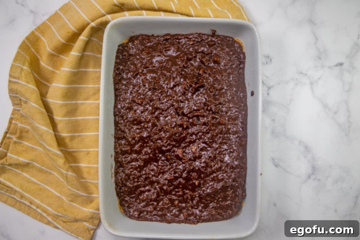 coconut chocolate frosting spread on top of cake mix in baking dish.
