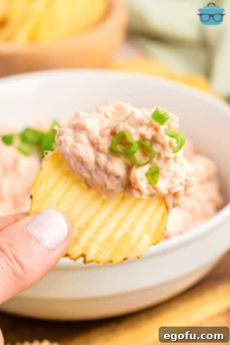 A hand holding a potato chip with Shrimp Dip on it.