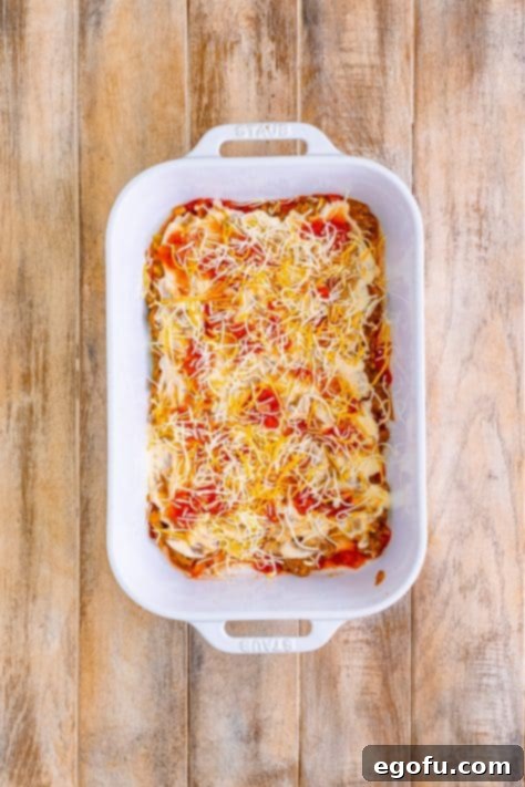 shredded cheese added on top of salsa layer.