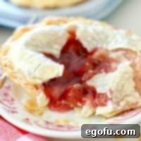 Cherry Cheesecake Minis 19 Cherry Cheesecake Pie - a perfect single mini pie with a golden crust and visible filling, ready to be enjoyed.