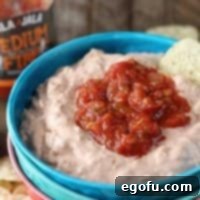 Salsa Chicken Dip