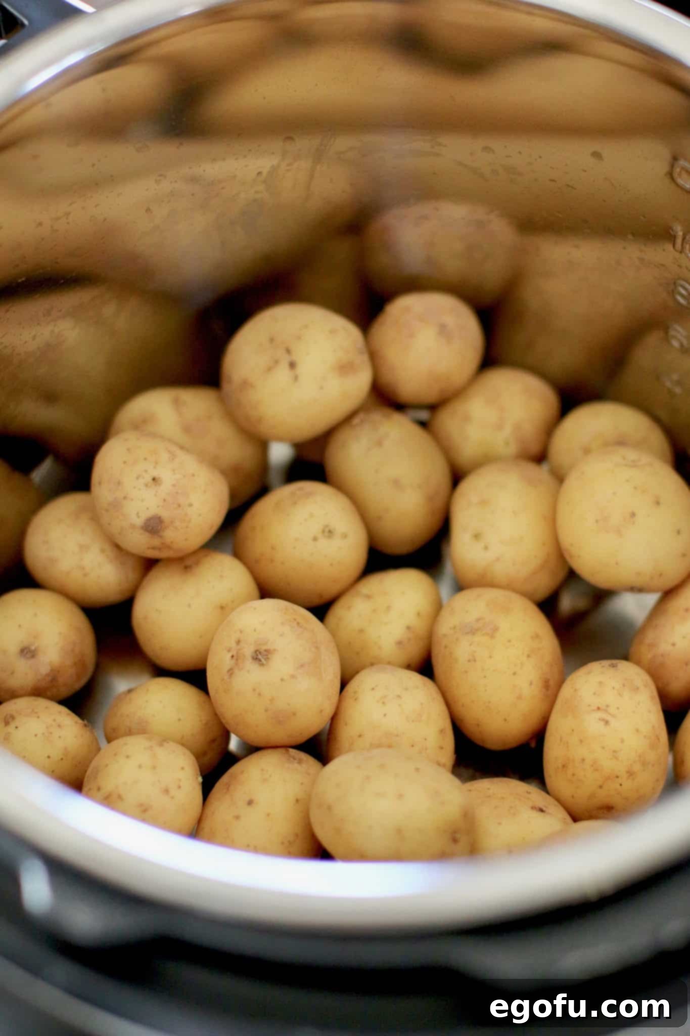 Baby potatoes layered at the bottom of the Instant Pot insert, ready for the broth and garlic.