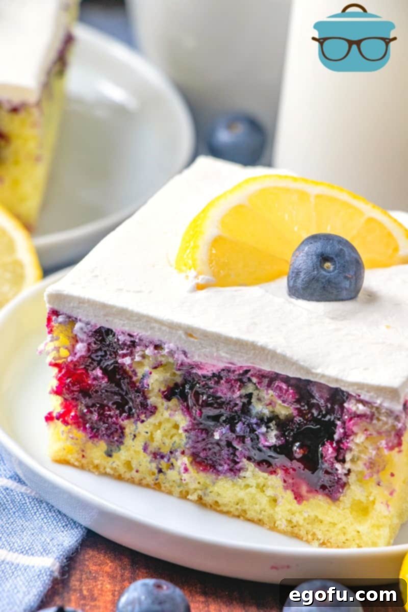 Lemon Blueberry Cake slice on a circle white plate.