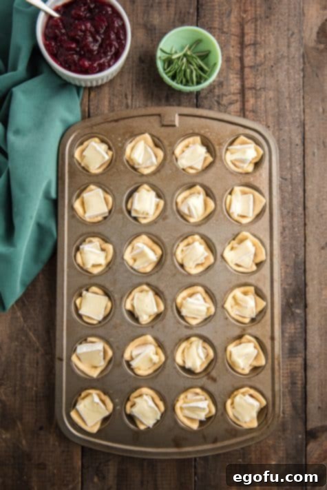 Golden Cranberry Brie Delights 13 brie added on top of crescent roll dough pieces in muffin tin.