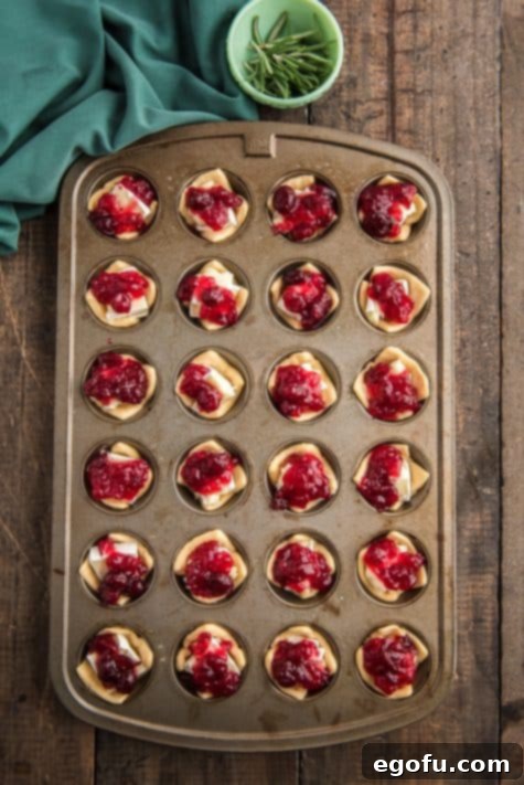Golden Cranberry Brie Delights 14 cranberry sauce put on top of brie in muffin tin.