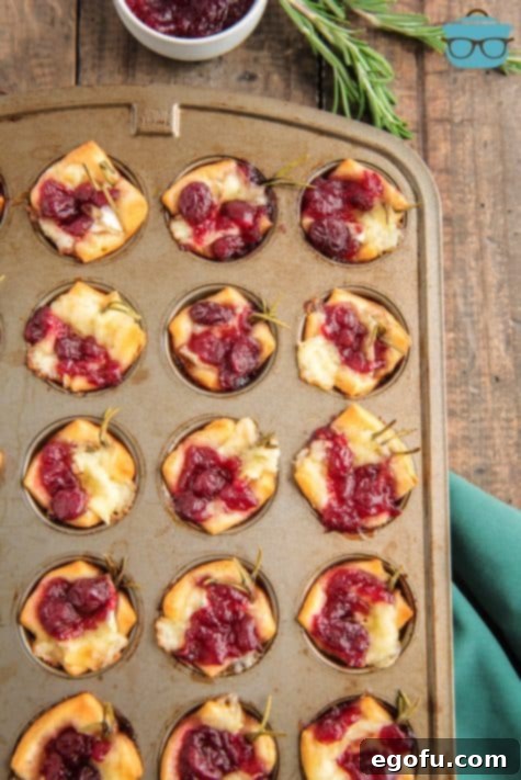 Golden Cranberry Brie Delights 16 overhead photo of cranberry brie appetizers in a muffin tin on a wood surface.