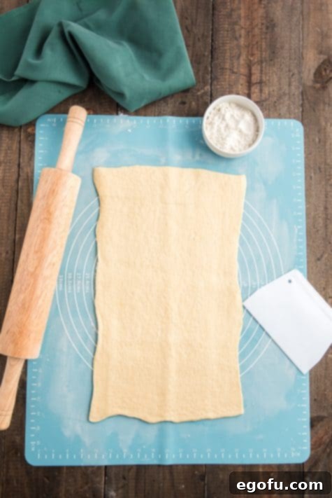 Golden Cranberry Brie Delights 10 crescent roll dough spread out on a wood surface.