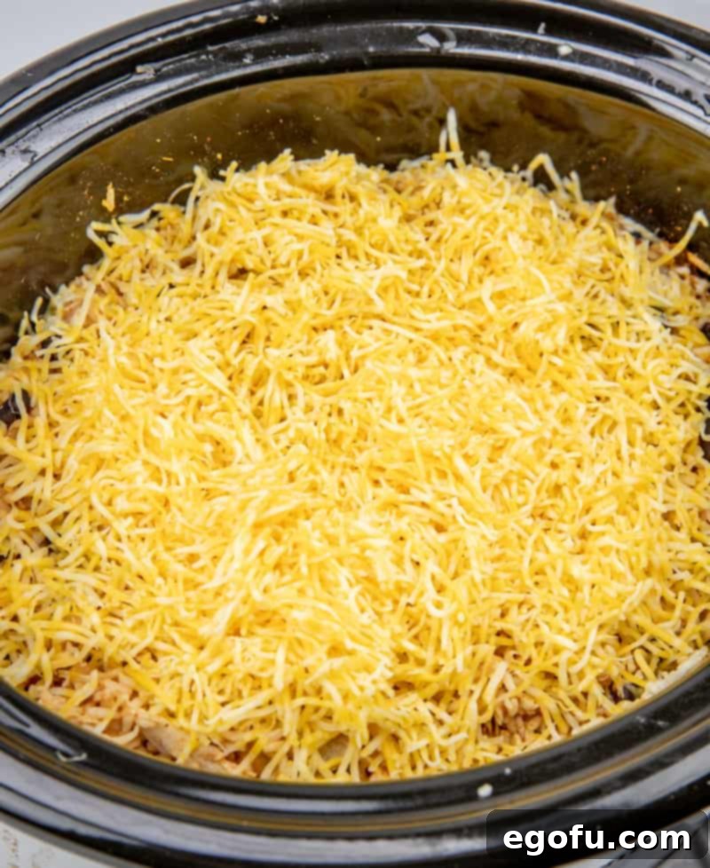 shredded cheese on top of chicken and rice mixture.