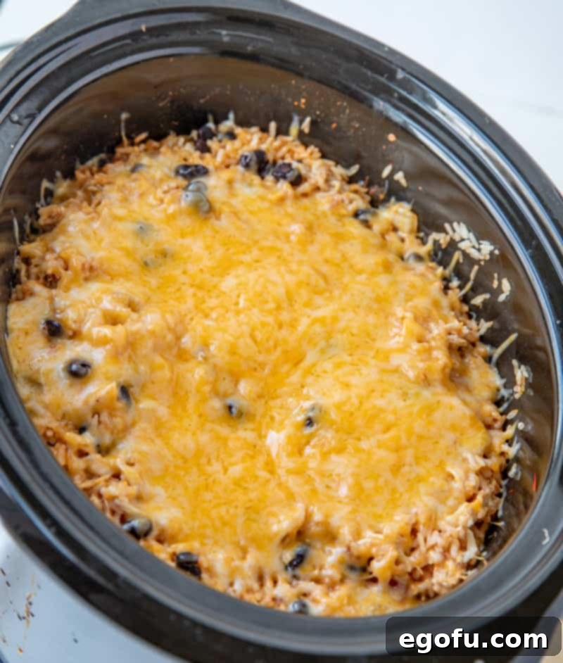 melted cheese on chicken and rice in a slow cooker.