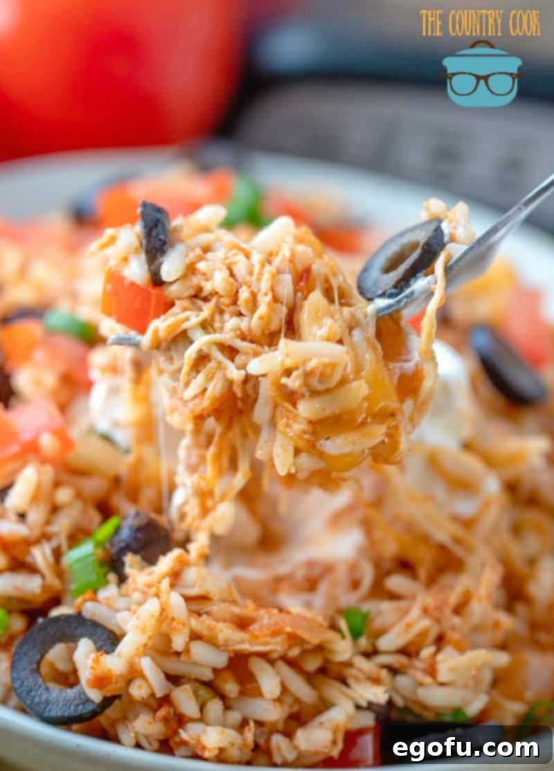 Crock Pot Chicken and Rice Burrito Bowl, forkful.