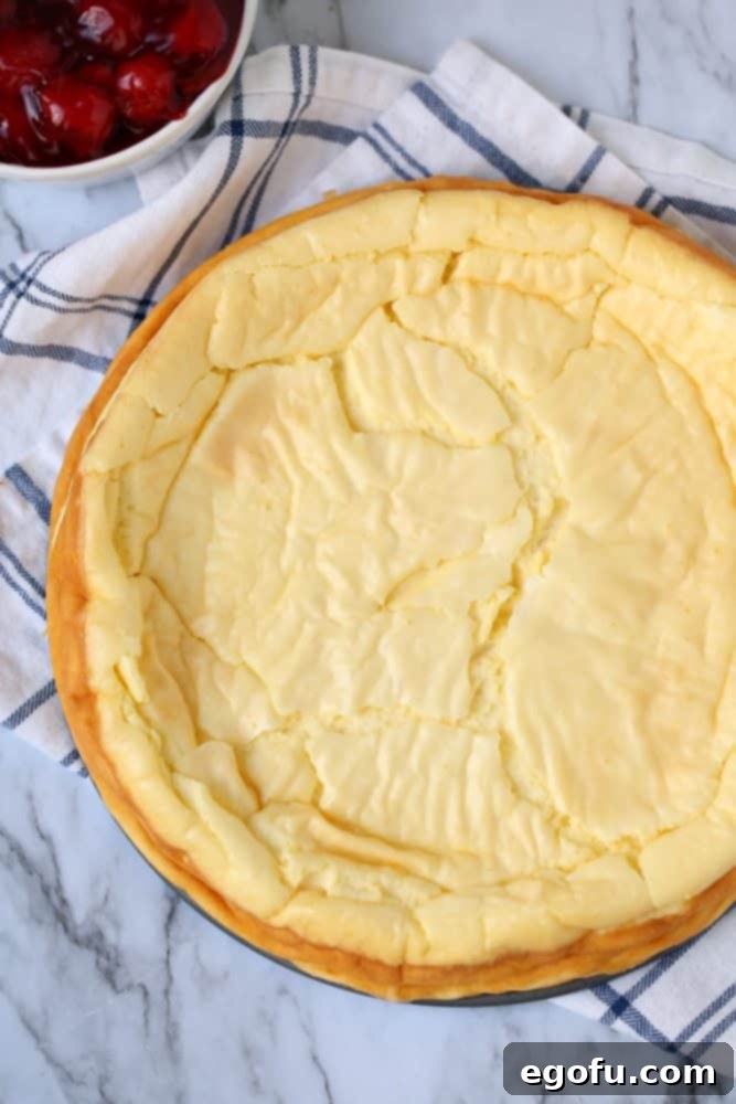 A perfectly cooled, smooth low carb cheesecake, ready for topping.